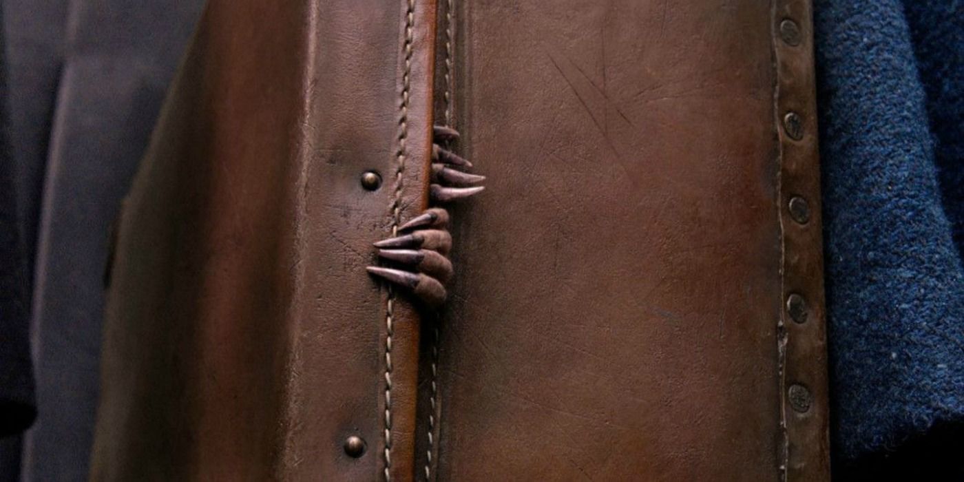 Animali fantastici e dove trovarli